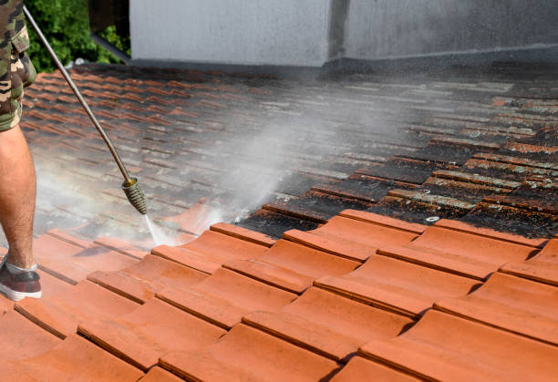 Best Local Pressure Washing Services  in USA